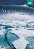 دانلود مستند قطب جنوب به صورت کامل – BBC Frozen Planet 2018