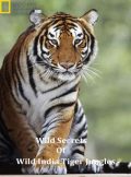دانلود مستند Wild Secrets of Wild India Tiger Jungles 2012