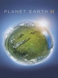 دانلود سریال مستند Planet Earth II  – قسمت ویژه A World of Wonder