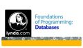 دانلود فیلم آموزشی Foundations of Programming: Databases – آموزش کار با بانک اطلاعاتی در برنامه نویسی