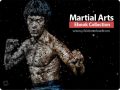 دانلود Martial Arts Ebook Collection – مجموعه کتاب های آموزش هنرهای رزمی