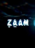 دانلود بازی ZAAM برای PC